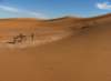 dunesdechigaga_small.jpg